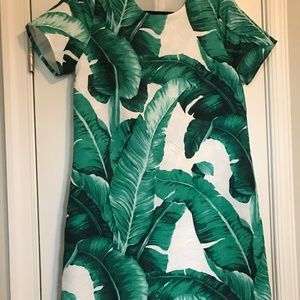 Palm Print Shift Dress